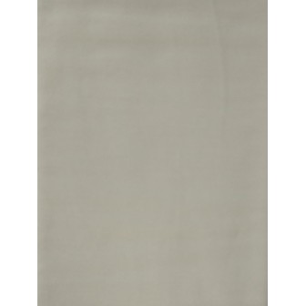 Liso Poppy Fabrics Cinza
